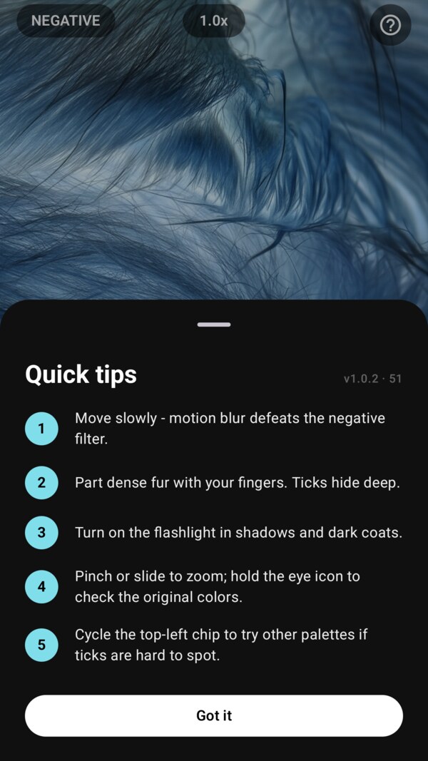 Tick Camera - Quick Tips