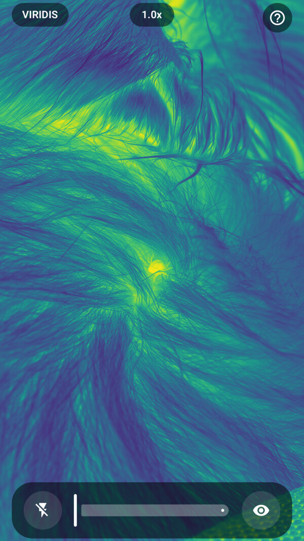 Tick Camera - Viridis